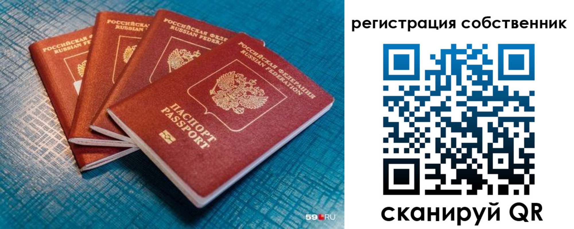 регистрация для дет. сада в Новозыбкове