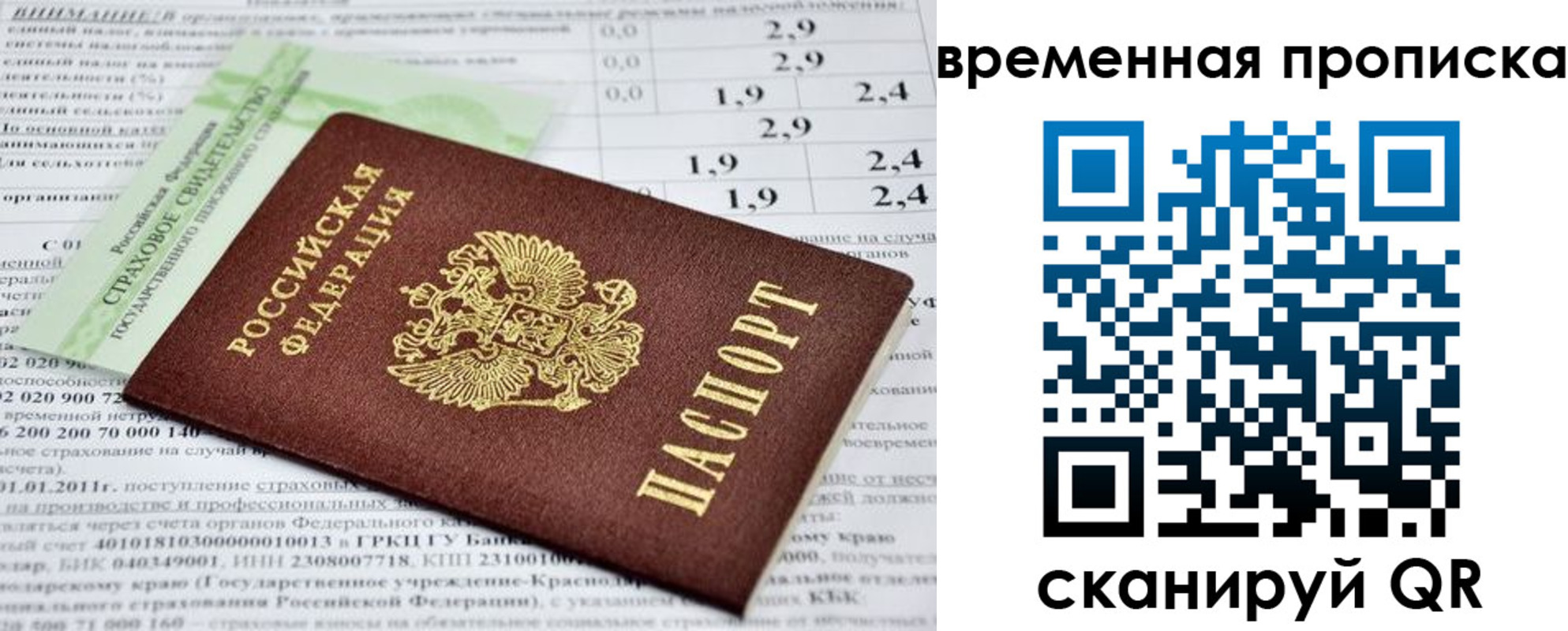 временная прописка в Новозыбкове